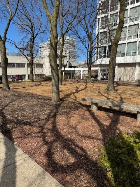 601 E 32nd Street - Photo 33