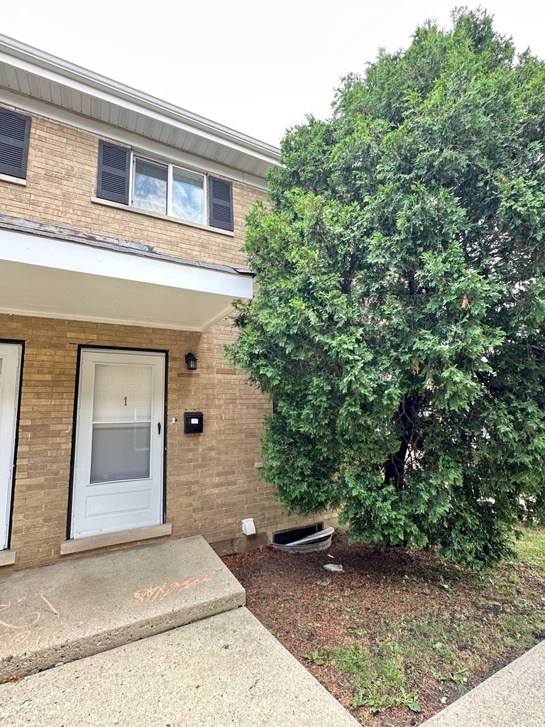 1715 E Roosevelt Road - Photo 0