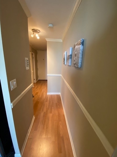 1636 N Wells Street - Photo 17