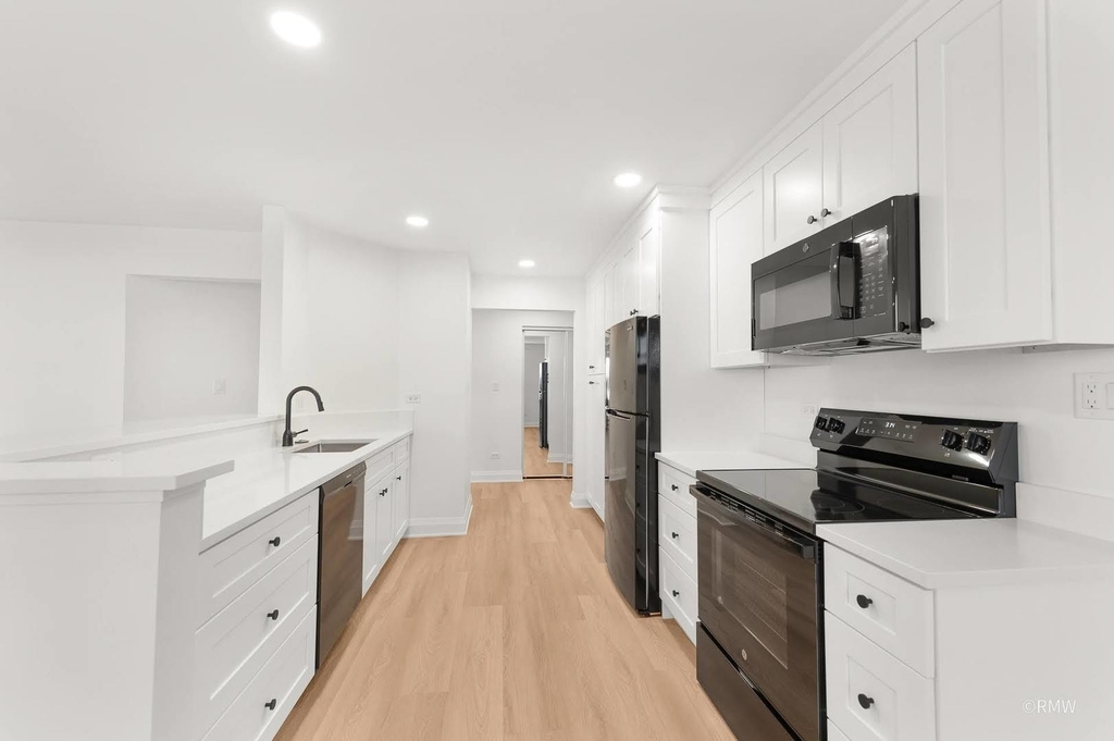 226 S Rush Street - Photo 1