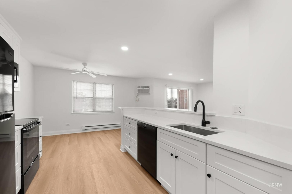 226 S Rush Street - Photo 0