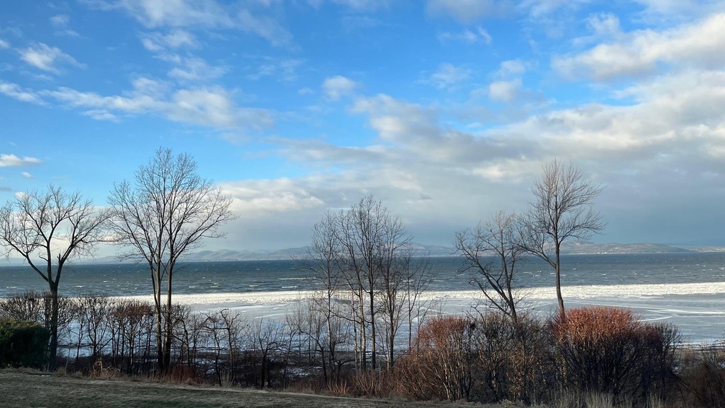 22 Northshore - Photo 4