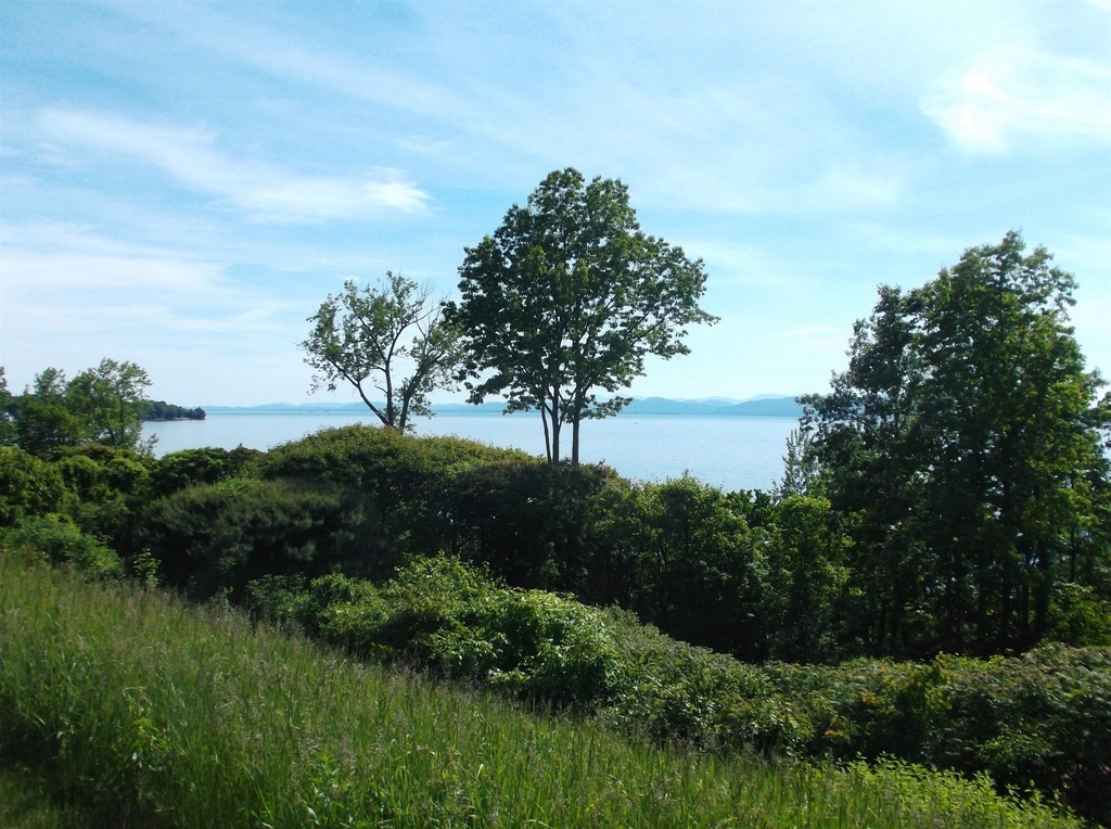22 Northshore - Photo 3