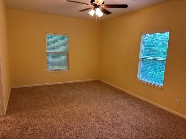 8370 Fm 1488 - Photo 11