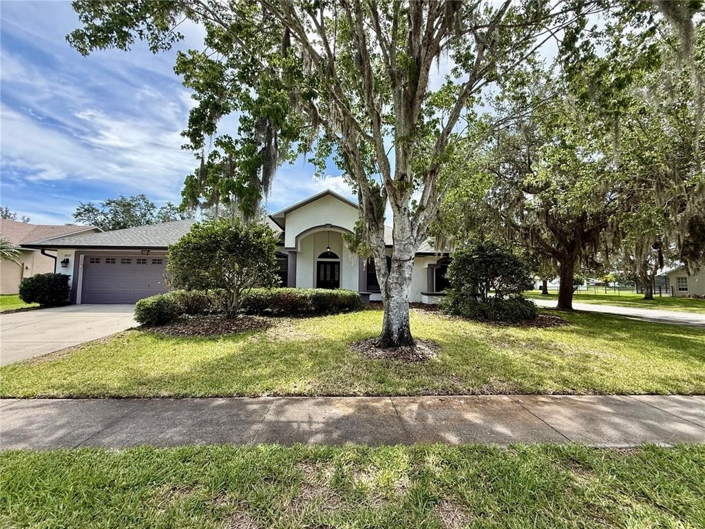 4843 Calasans Avenue - Photo 0