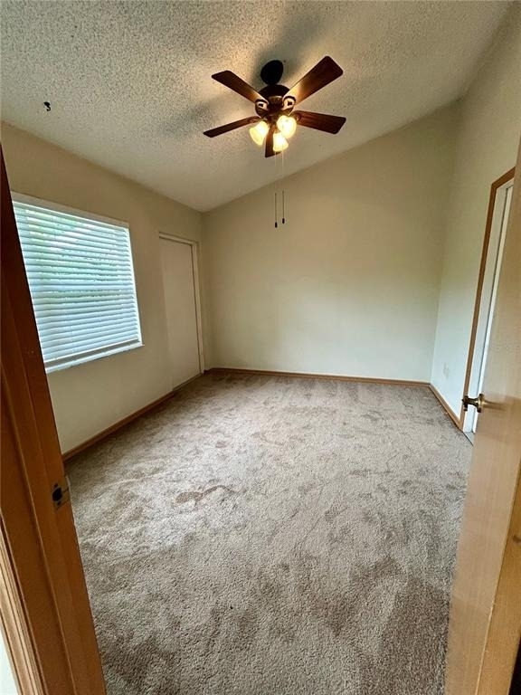 63 Ivy Lane - Photo 13