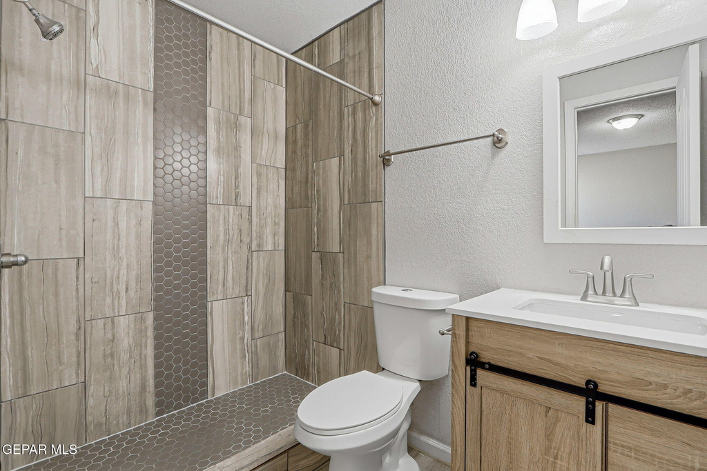 12313 Tierra Arena Drive - Photo 13
