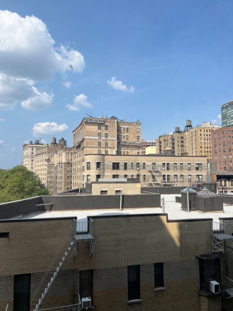 West 96th Street - Photo 8