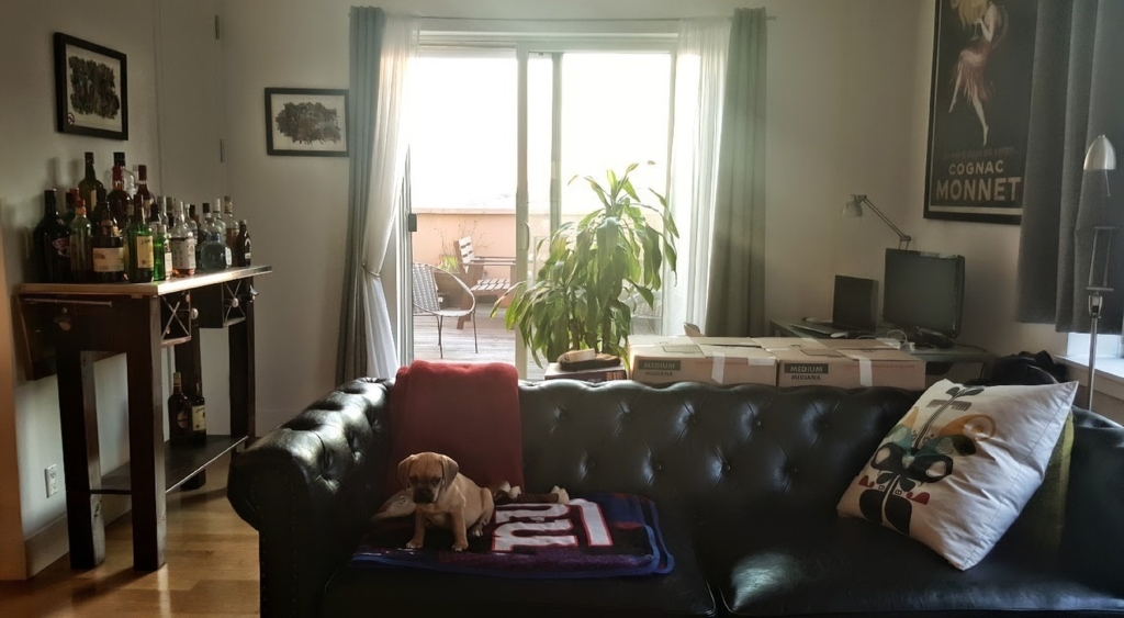 24 Cook Street - Photo 5