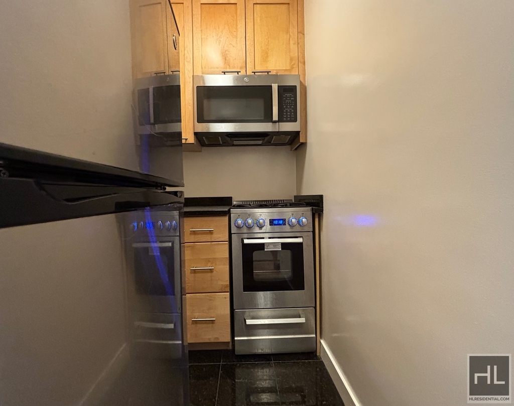East 79th Street - Photo 2