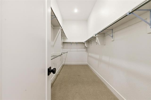 15522 Cormorant Street - Photo 13