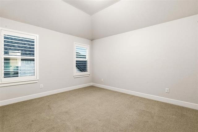 15522 Cormorant Street - Photo 17