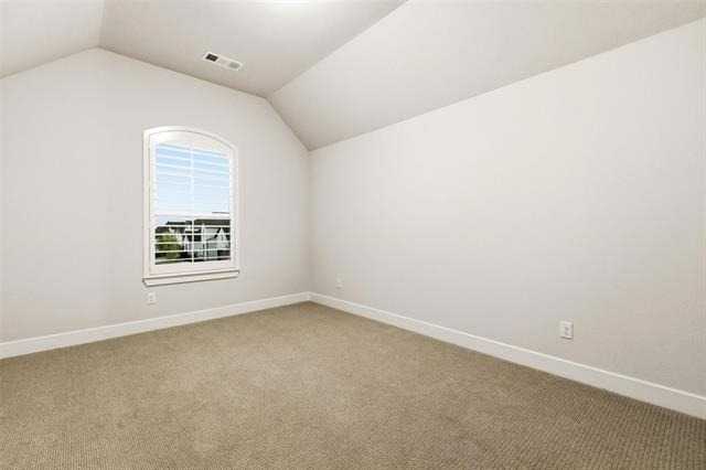 15522 Cormorant Street - Photo 19