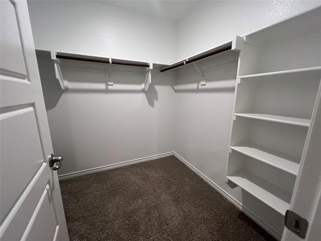 9813 Cactus Creek Court - Photo 11
