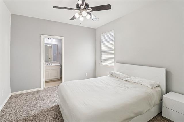 6616 Mountain Sky Road - Photo 22