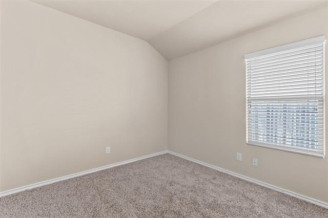 2517 Carolina Drive - Photo 29