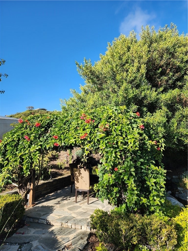 32732 Mediterranean Drive - Photo 17