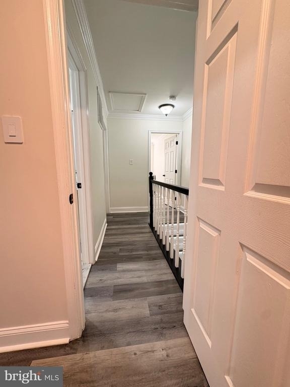 14705 Endsley Turn - Photo 17