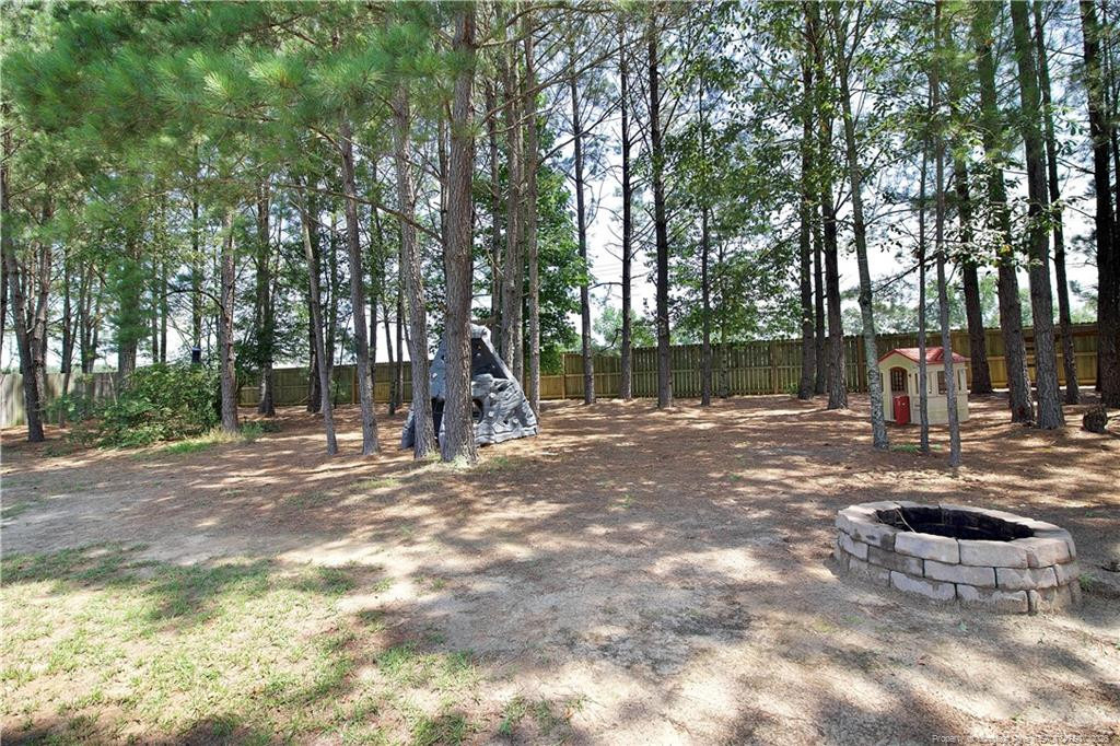 197 Caswell Pines Lane - Photo 49
