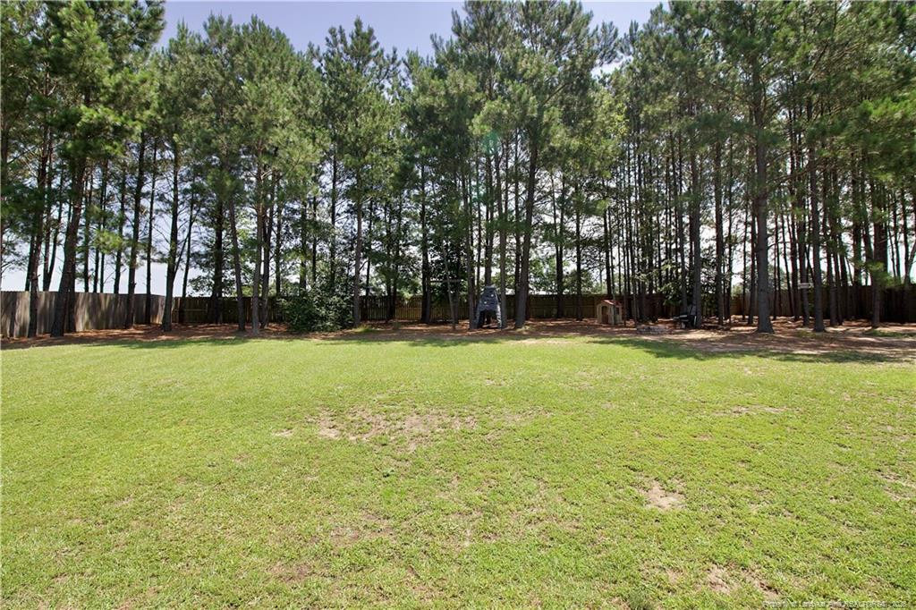 197 Caswell Pines Lane - Photo 45