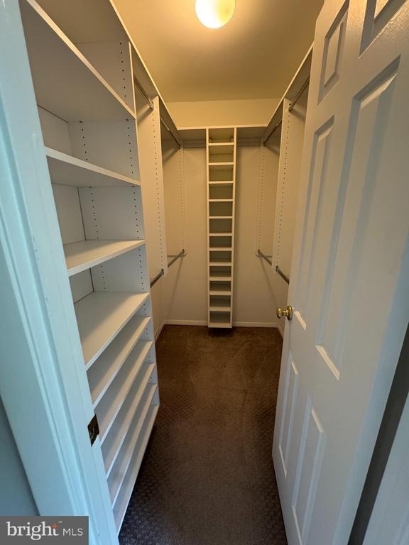 7804 Old Farm Lane - Photo 9