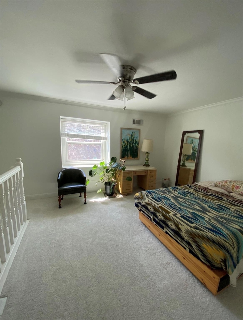 2500 Steck Ave - Photo 13