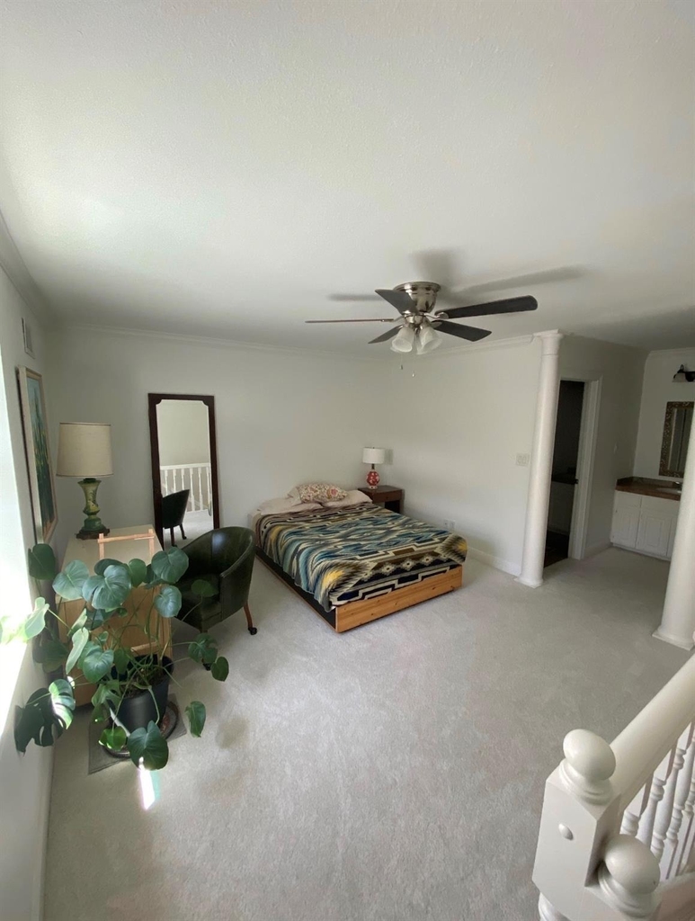 2500 Steck Ave - Photo 12