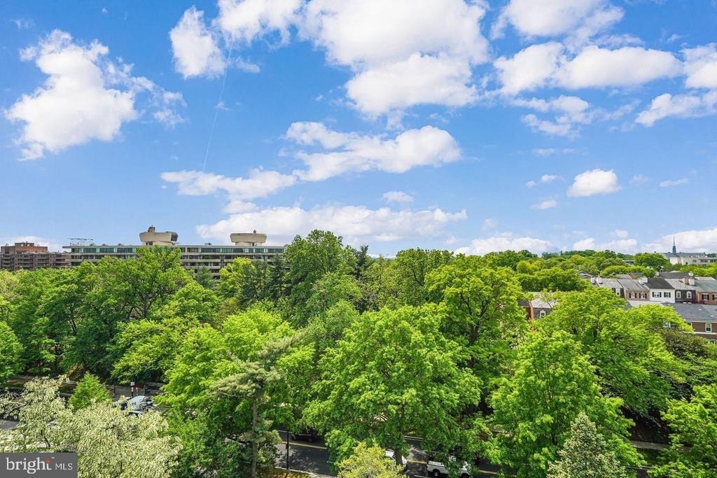 4301 Massachusetts Avenue Nw - Photo 23
