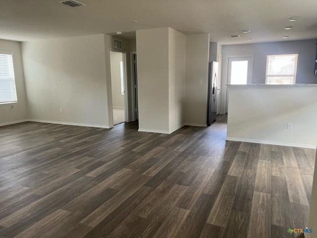 423 Russian Sage - Photo 1