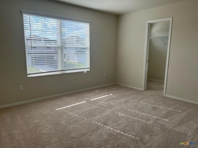 423 Russian Sage - Photo 7