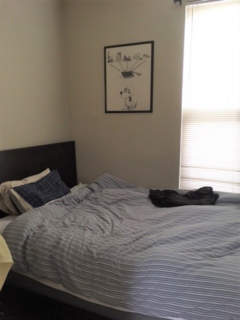 3802 N Hermitage Avenue - Photo 12