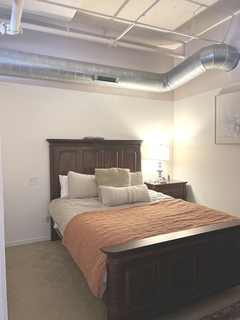 500 S Clinton Street - Photo 9