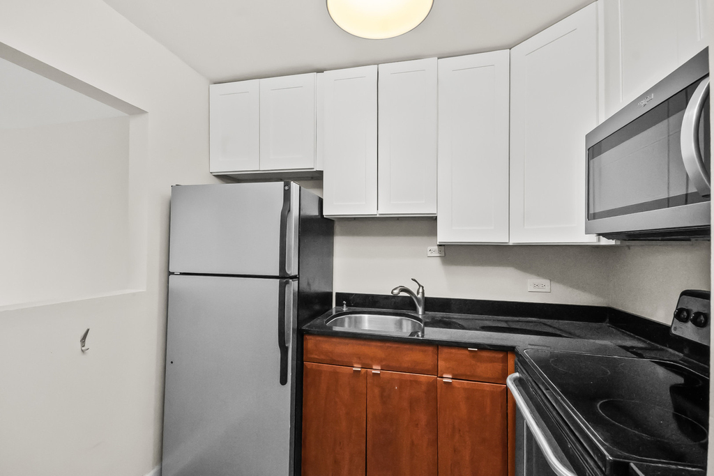 1360 N Sandburg Terrace - Photo 7