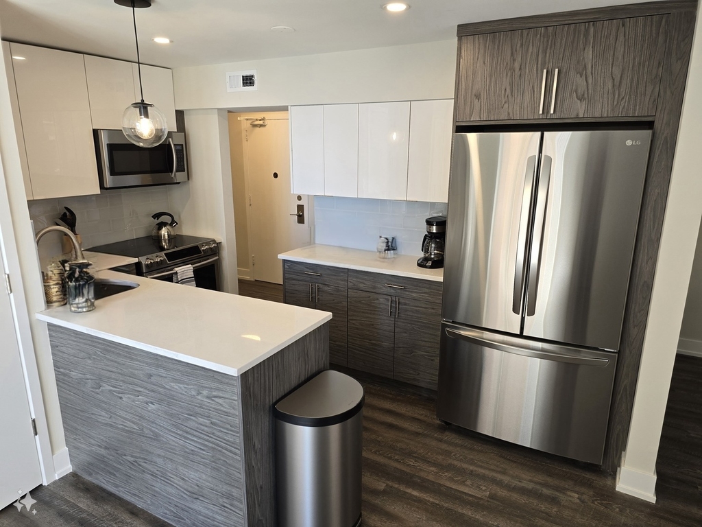 227 E Walton Place - Photo 1