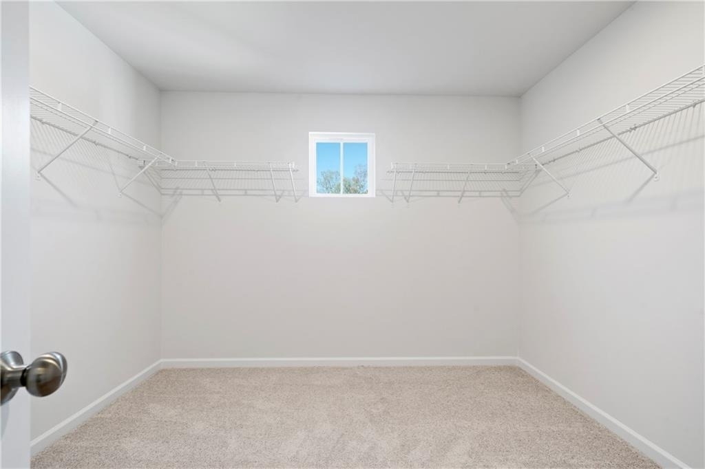 785 Summerwood Lane - Photo 30