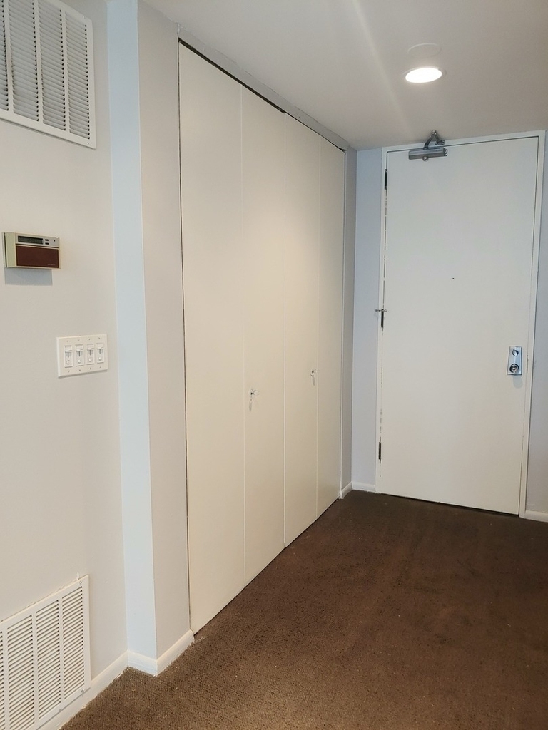 233 E Erie Street - Photo 7
