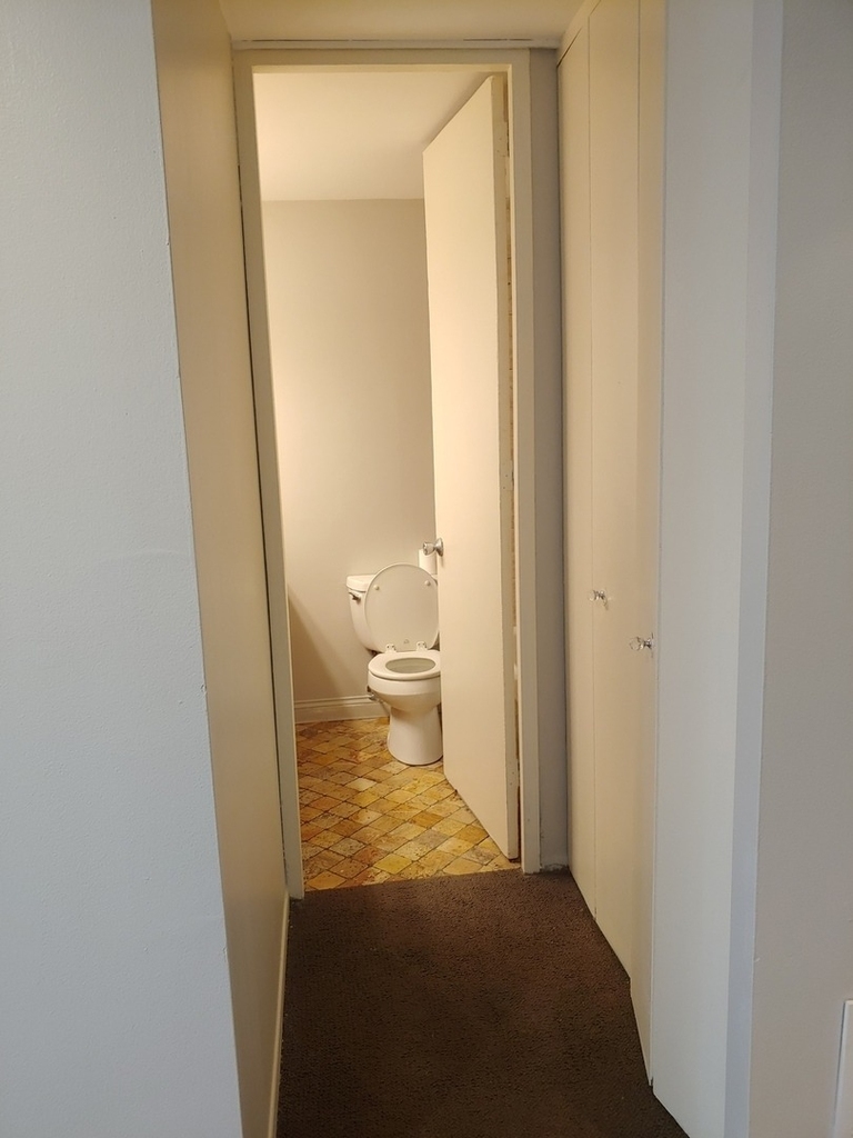 233 E Erie Street - Photo 14