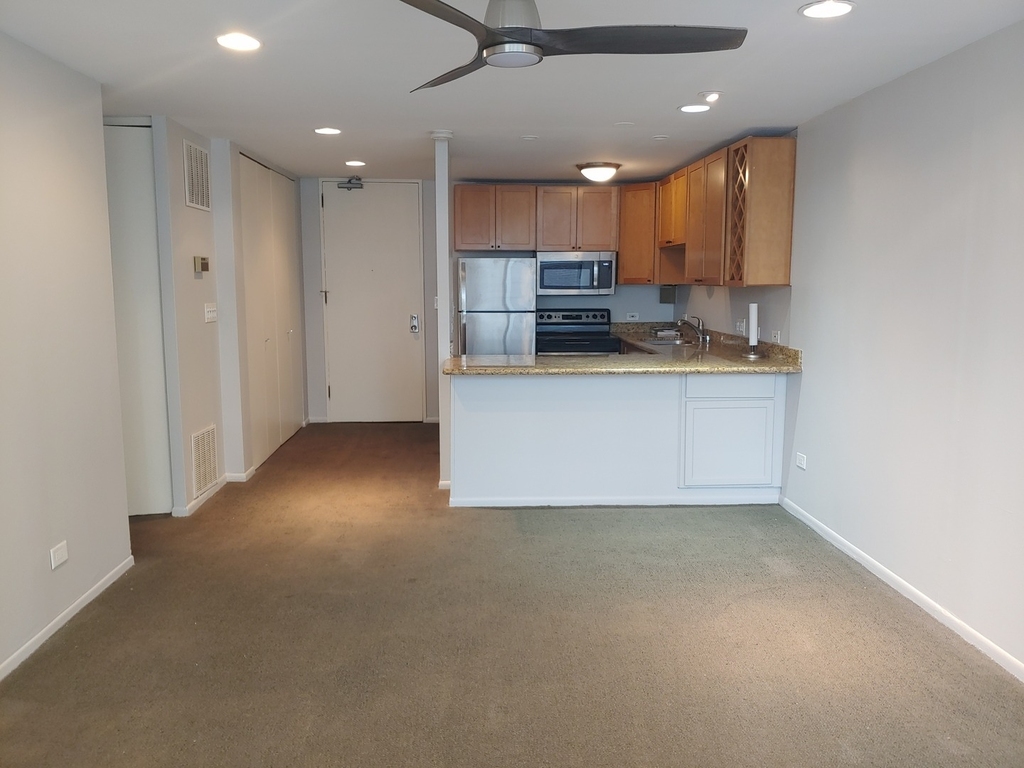 233 E Erie Street - Photo 4