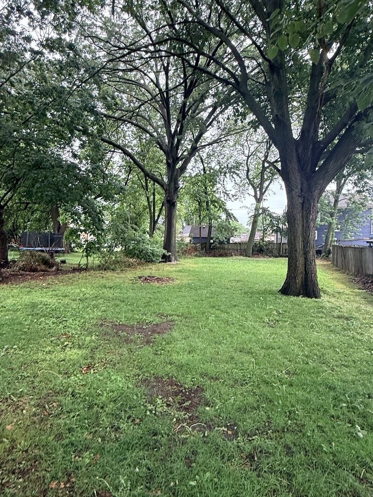 705 North Avenue - Photo 9