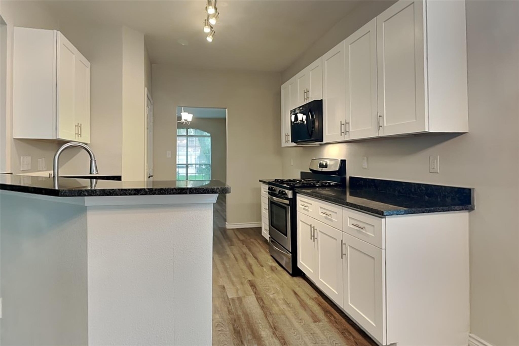 10931 S Falls Terrace - Photo 1