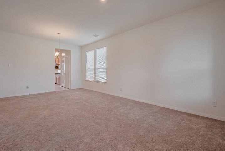 5815 Texas Sage Drive - Photo 7