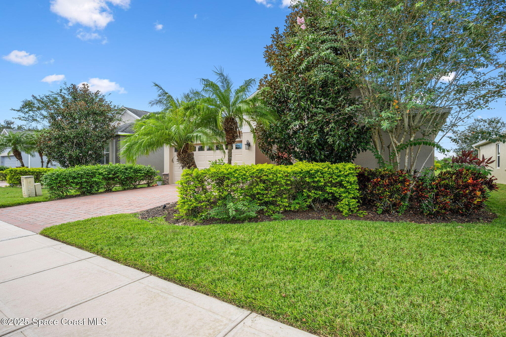 3664 Gurrero Drive - Photo 51