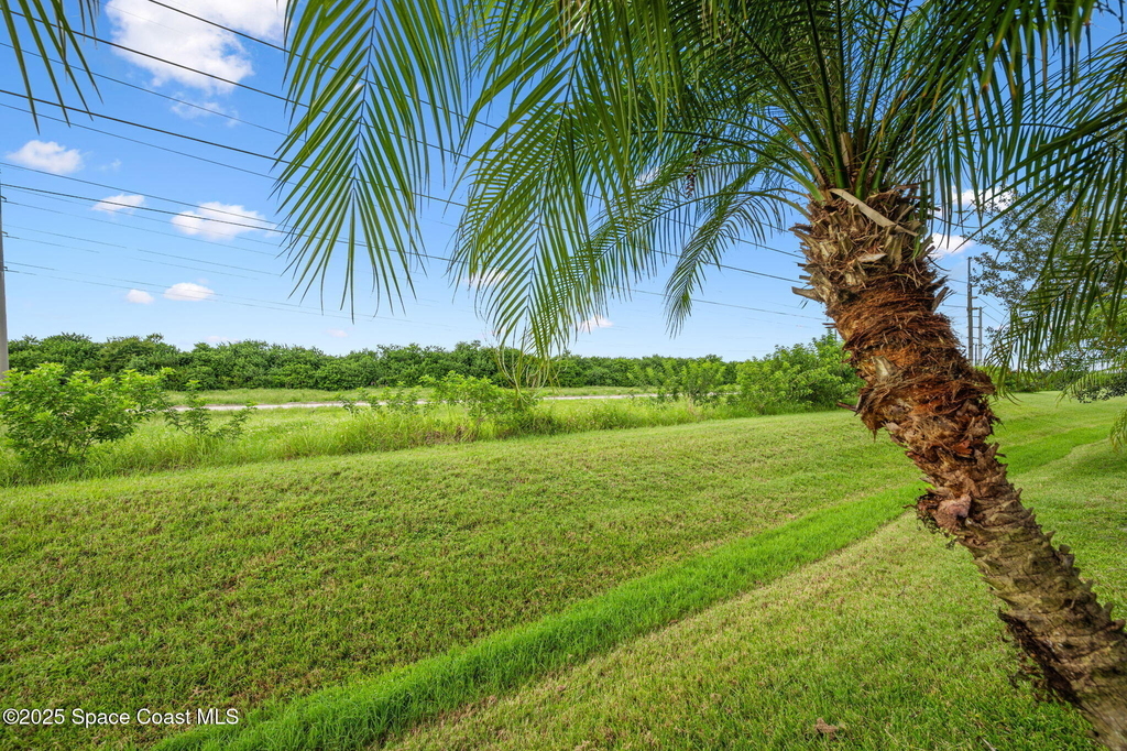 3664 Gurrero Drive - Photo 49