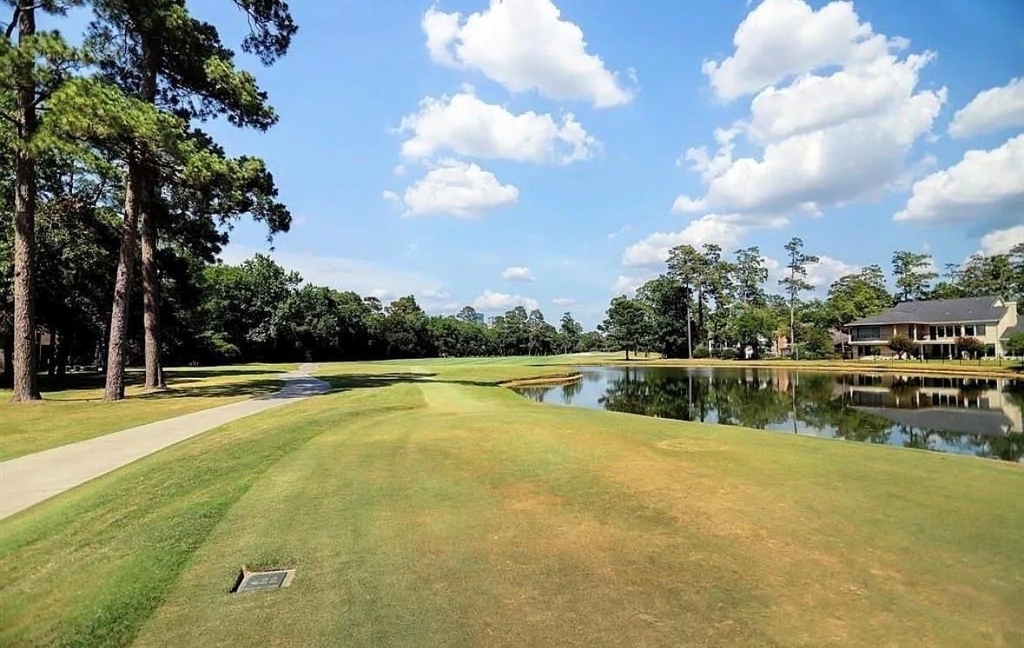 8 N Timber Top Drive - Photo 12