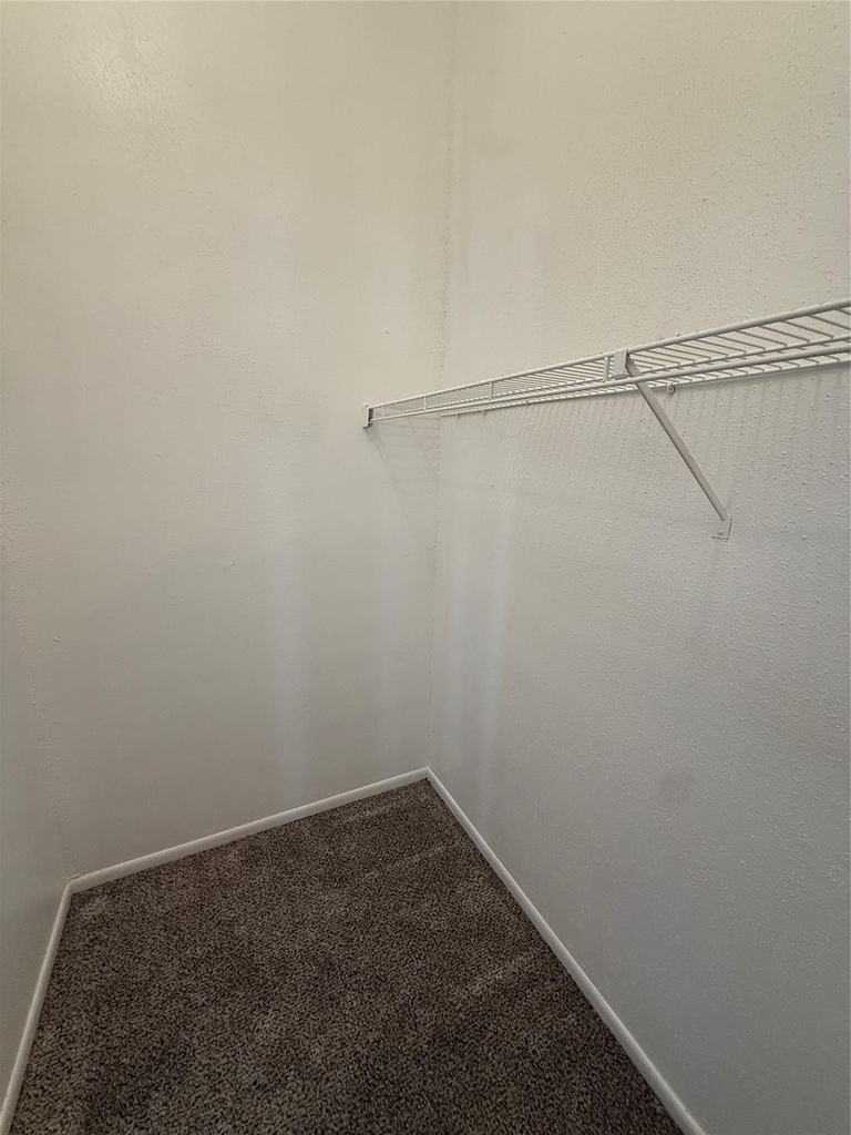 923 Carrell Street - Photo 12