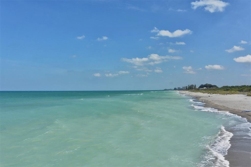 491 Daylily Boulevard - Photo 92