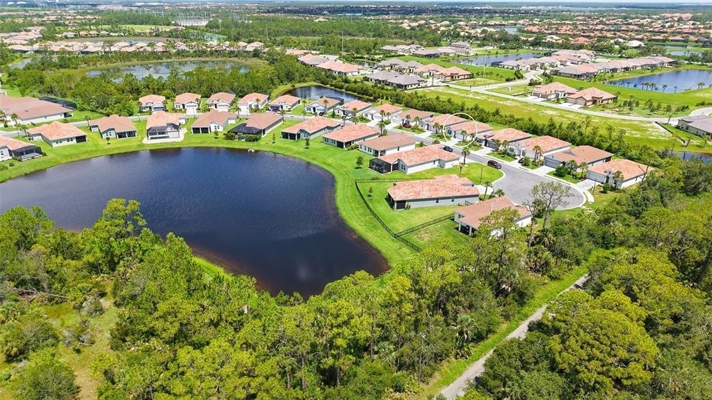 491 Daylily Boulevard - Photo 42