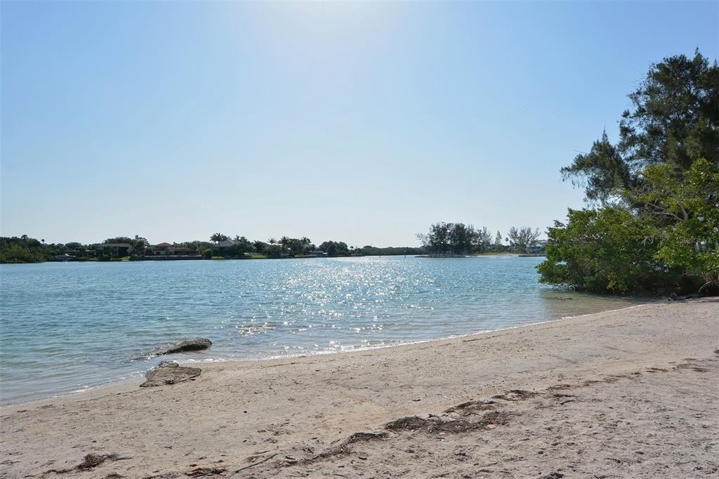491 Daylily Boulevard - Photo 79