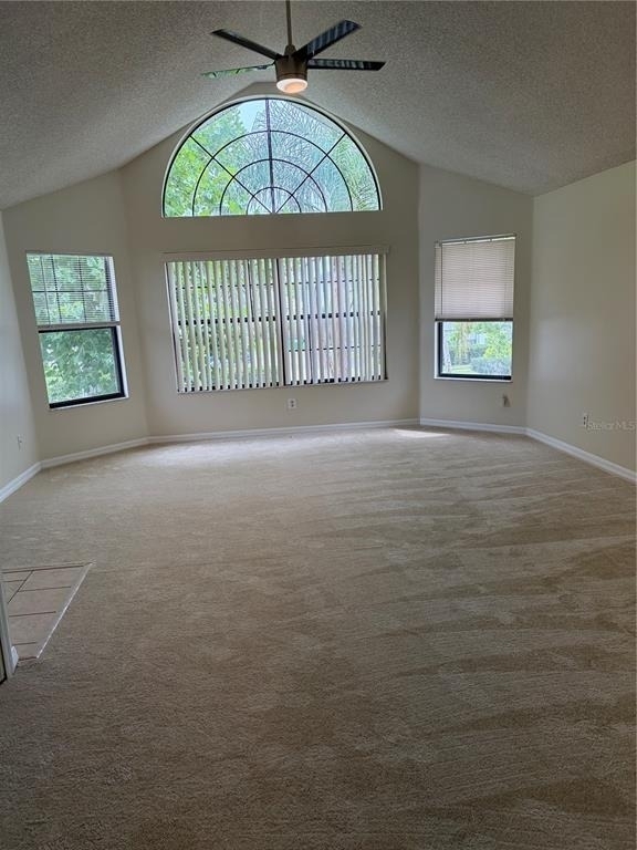 2914 Rio Grande Trail - Photo 9