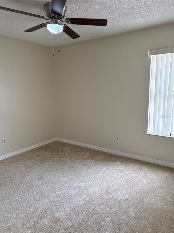 2914 Rio Grande Trail - Photo 4